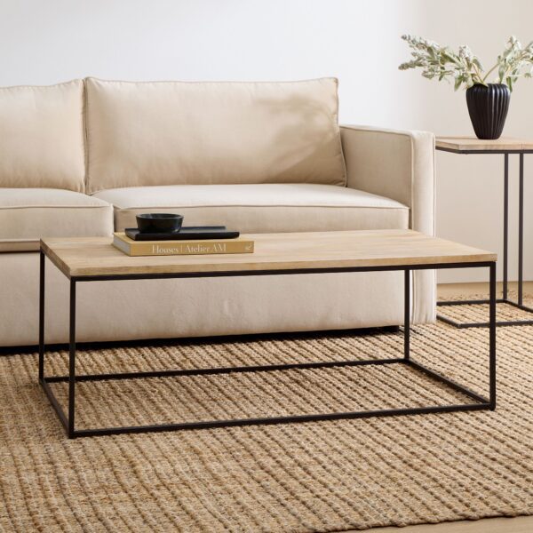 Aerodynamic Rectangle Coffee Table